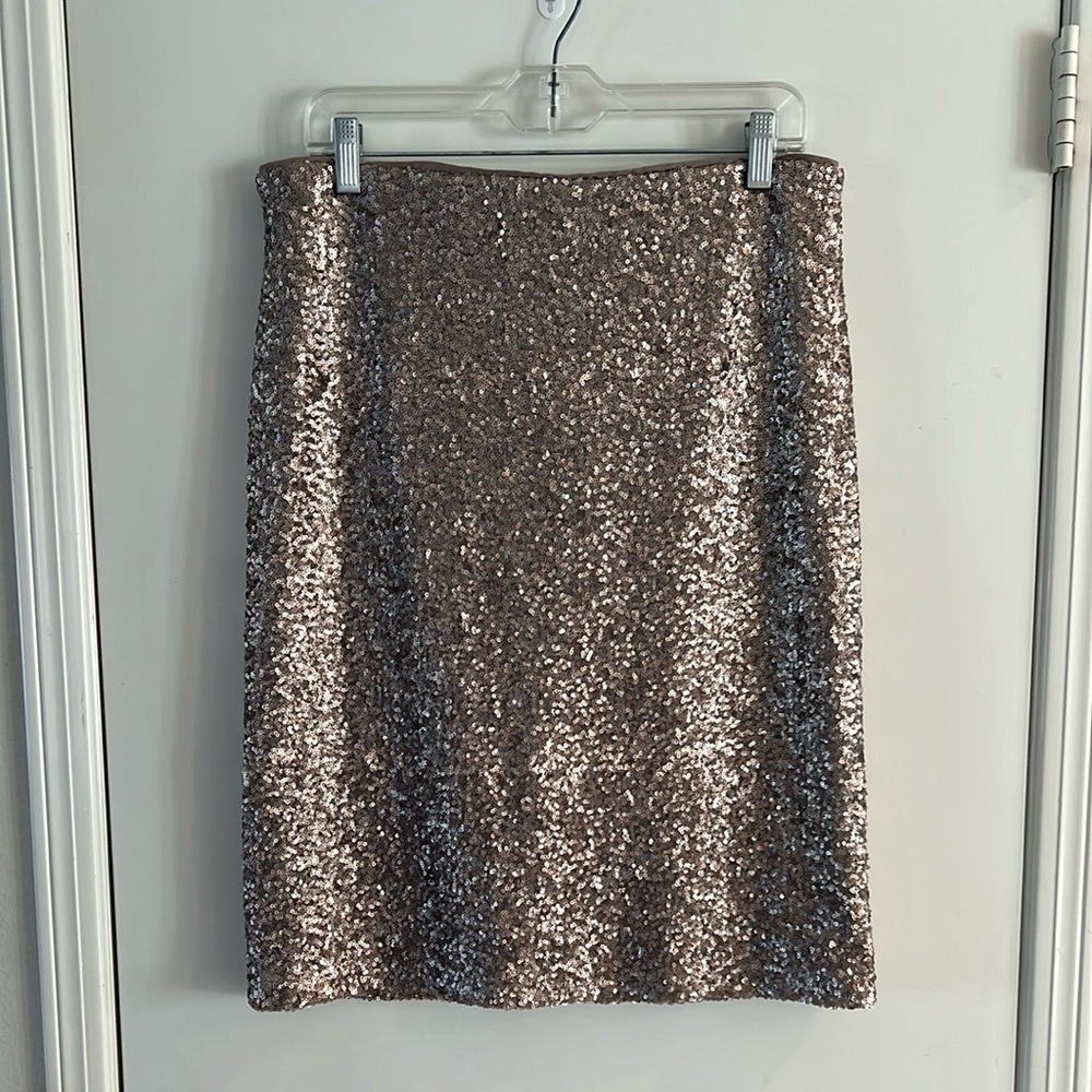 Ann Taylor Women’s Sequined Skirt